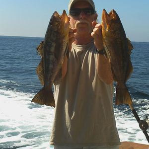 Meet your Posher, Jeffrey